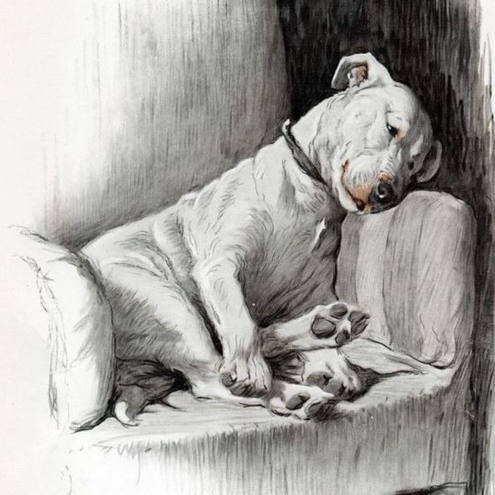 Meet your Posher, Carol